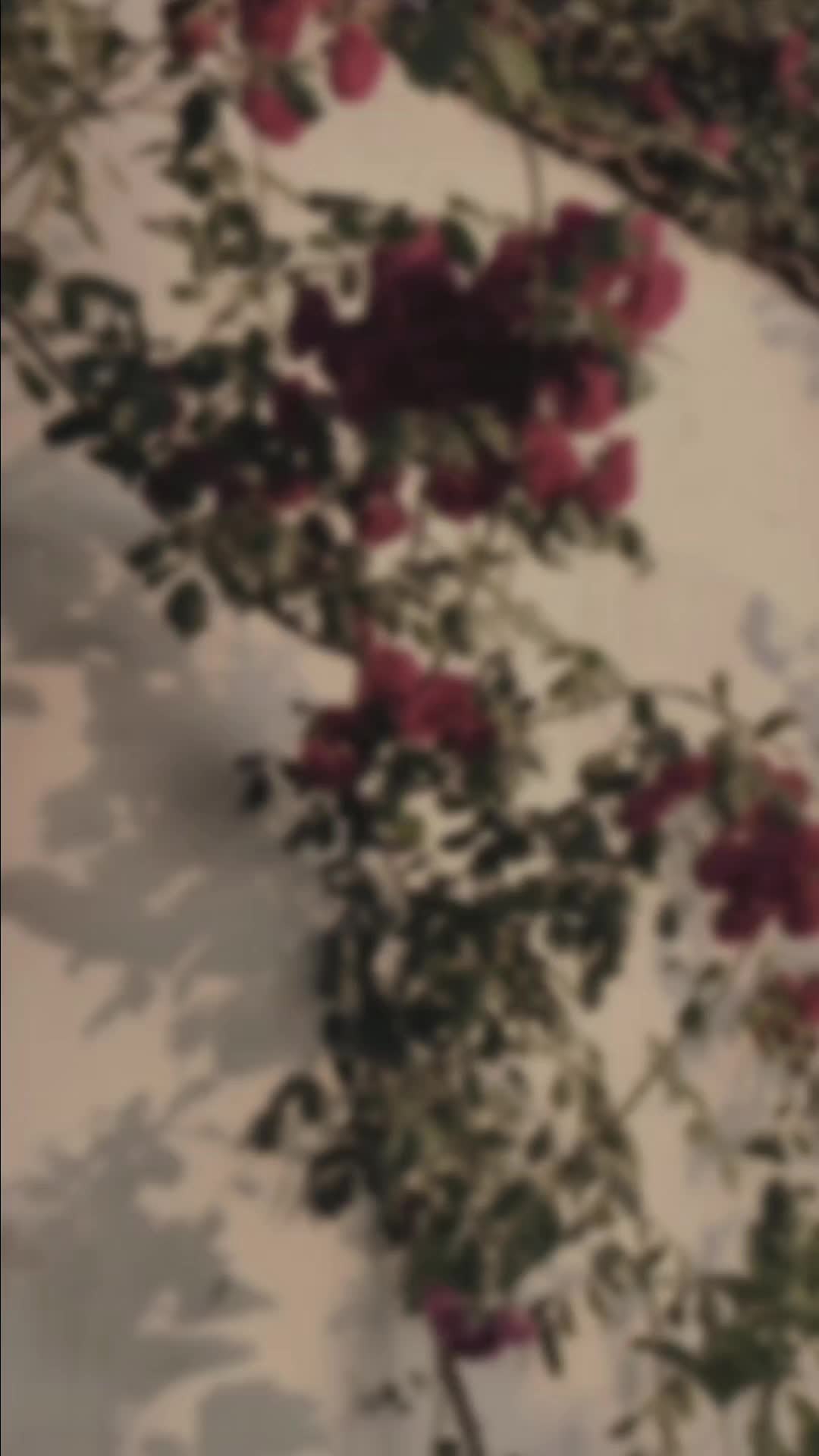 @๐ ๐ ๐ ๐ข ๐๐ซ