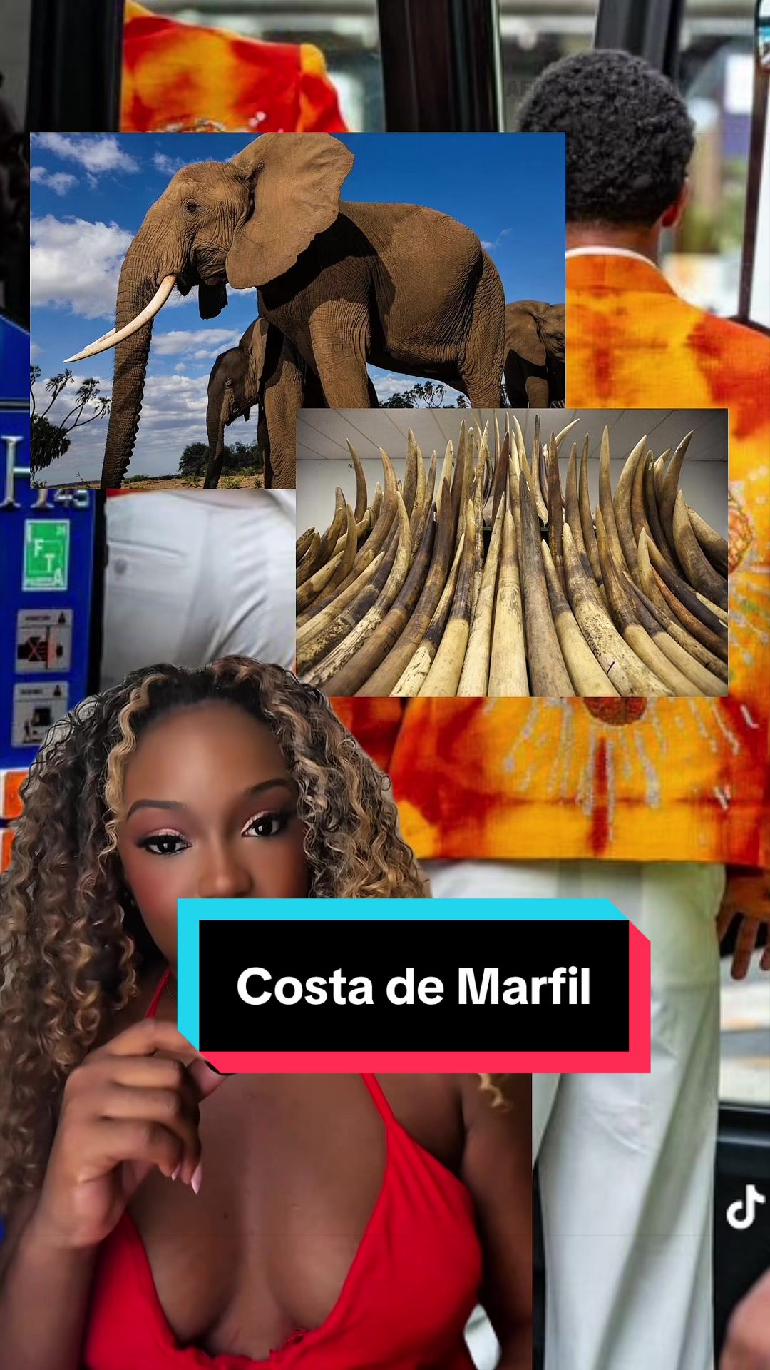 @Afrocolectiva