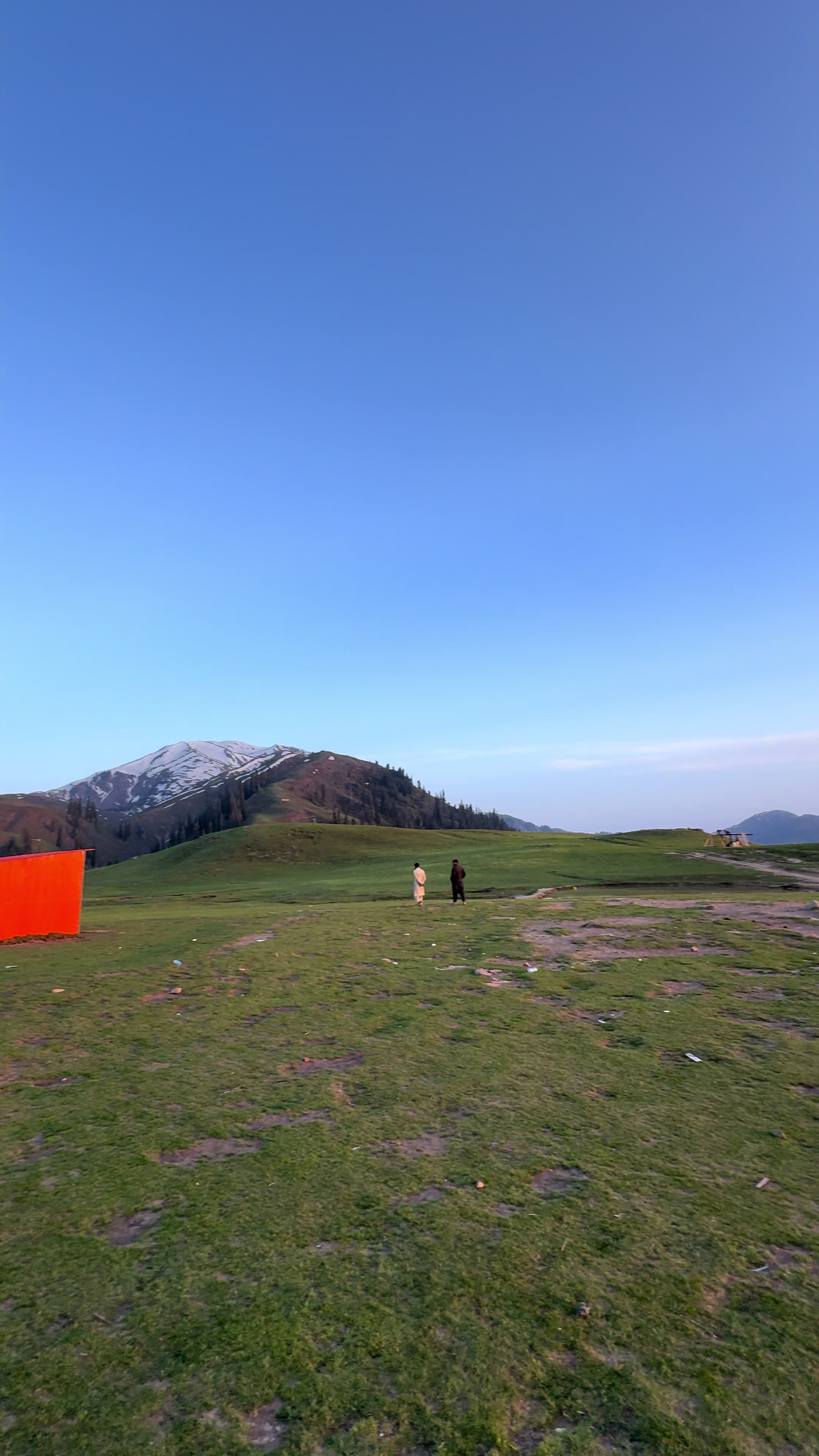 @Shogran Vibes