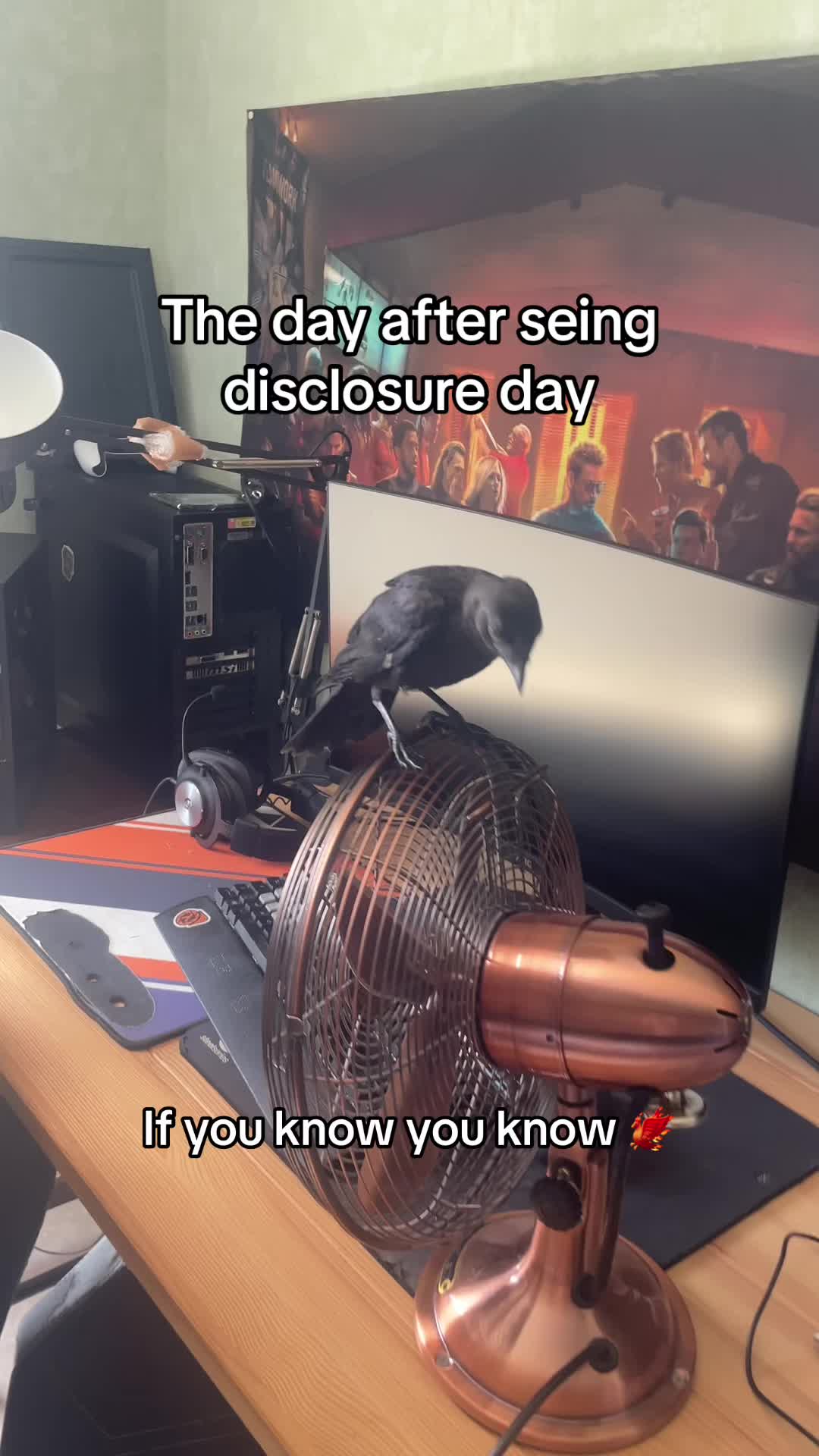 @Legricks