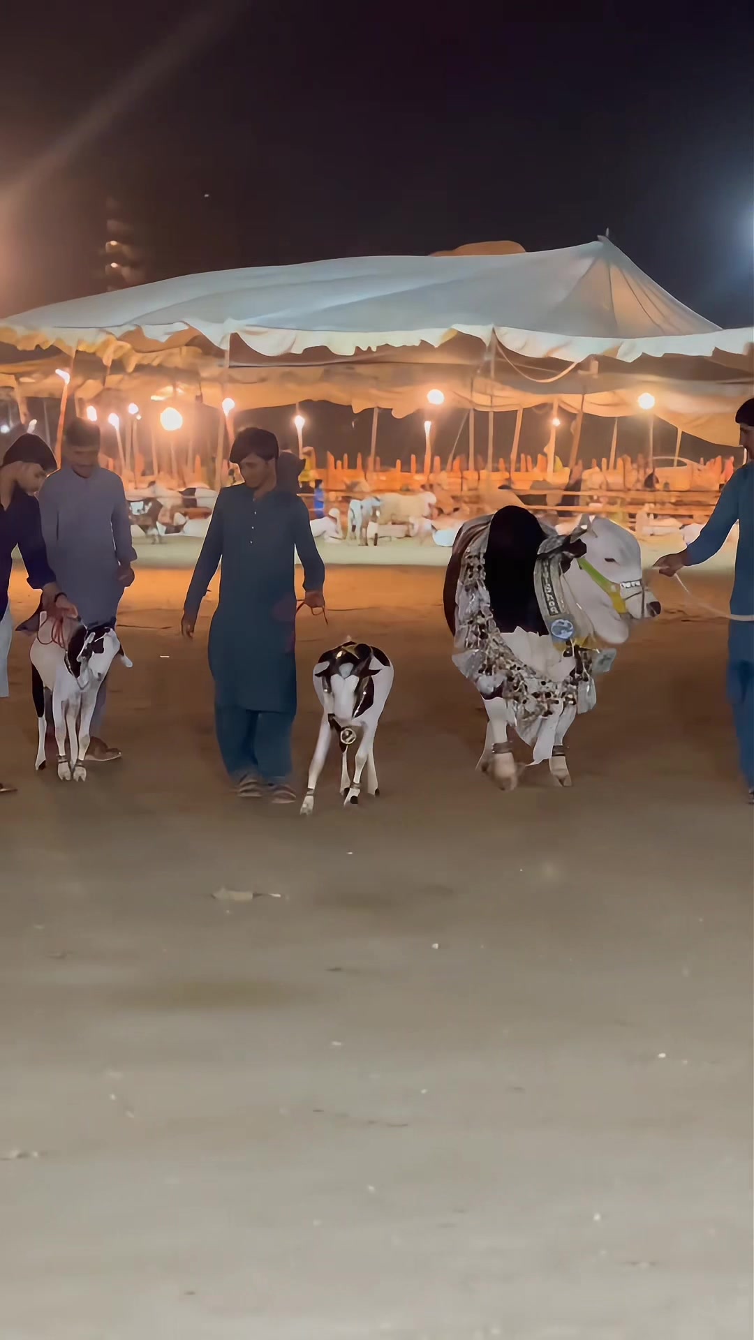 @S.A.(میمن)