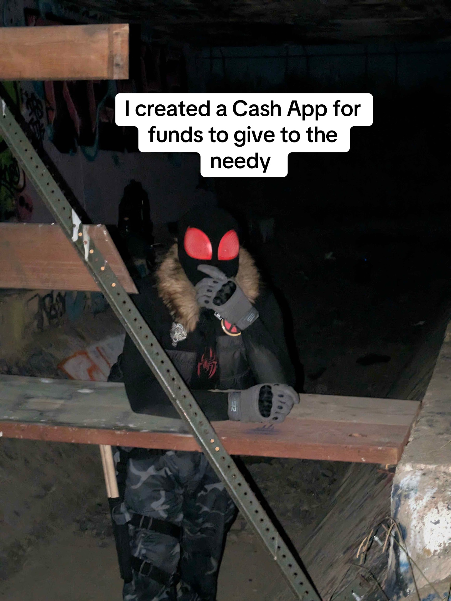 @Wolf-Spider