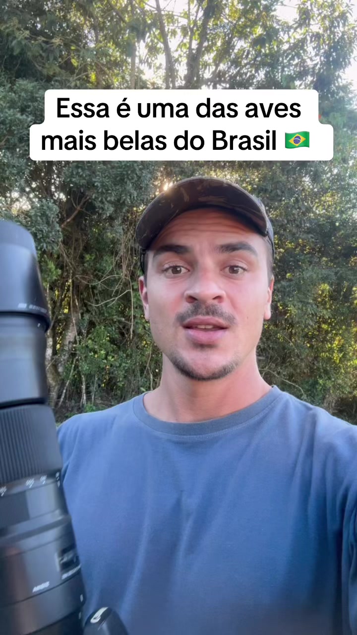 @Vin&iacute;cius K&ouml;hn P&aacute;ssaros