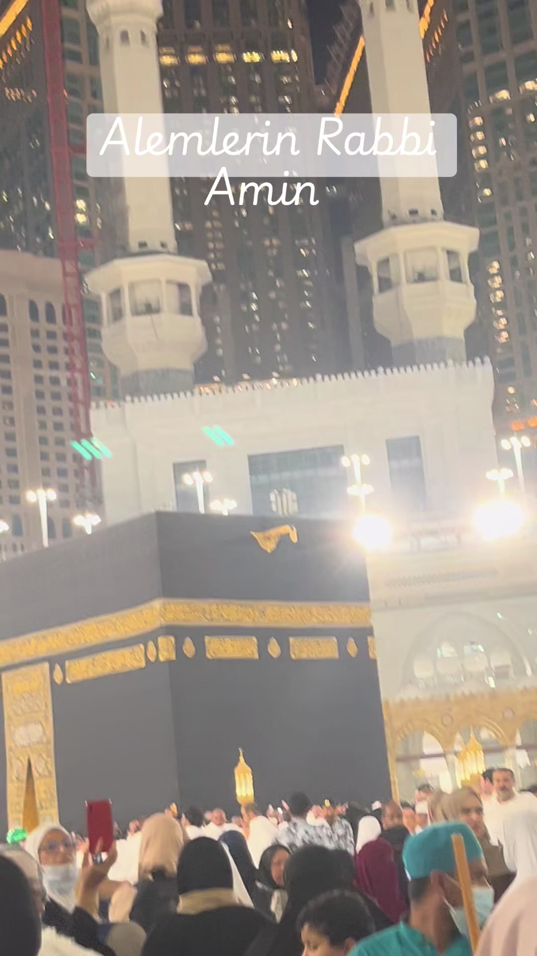 @hayalimm.