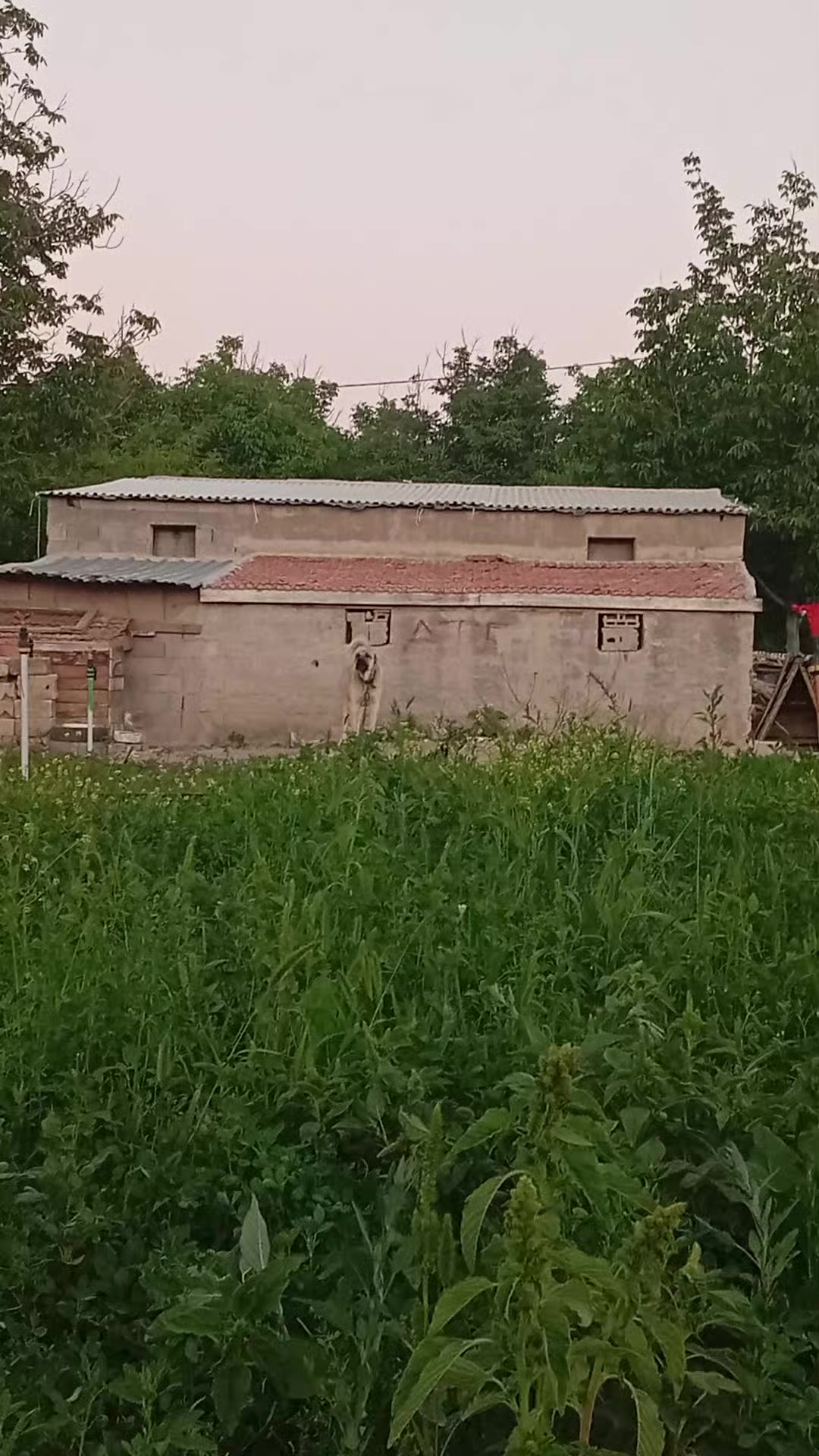 @𝙉𝘼𝙎𝙐𝙃 𝘕𝘙𝘚
