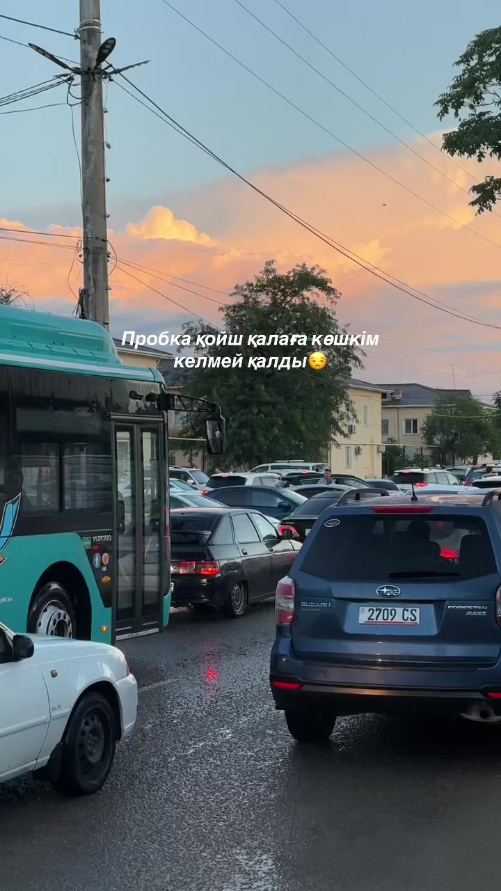@🎥 Anipa | Mobile Creator✨