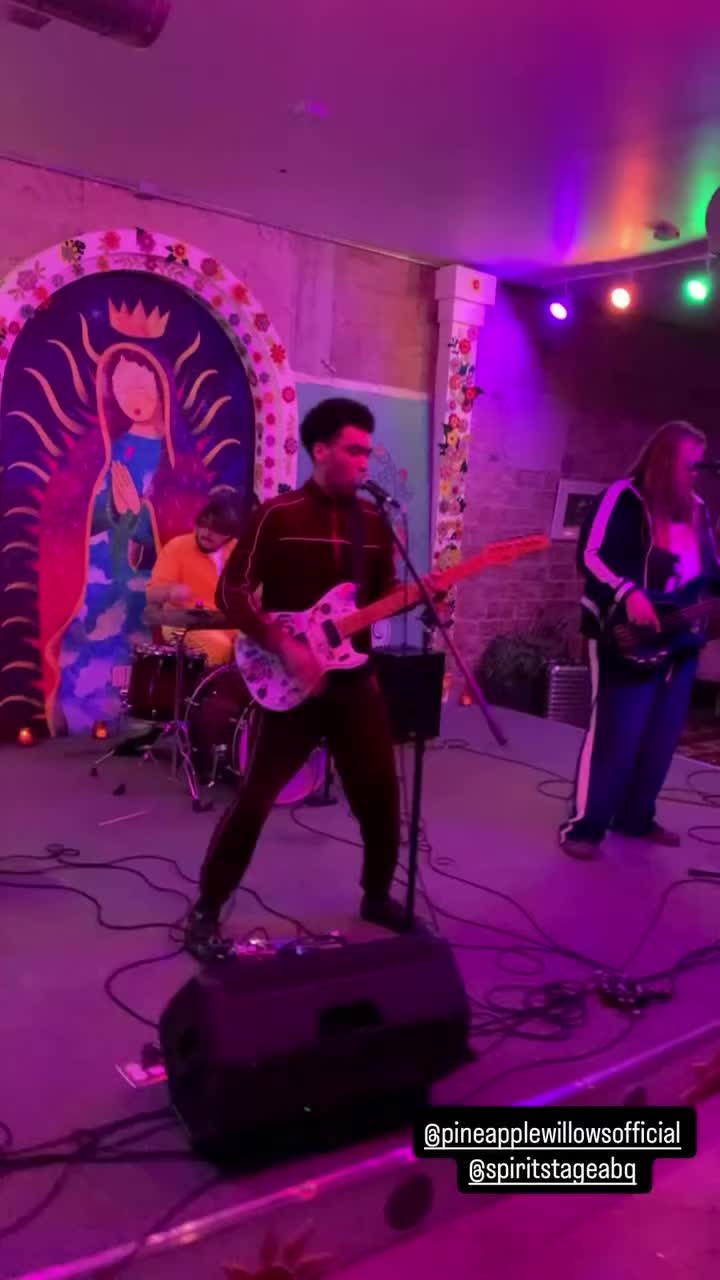 @PineappleWillowsOk