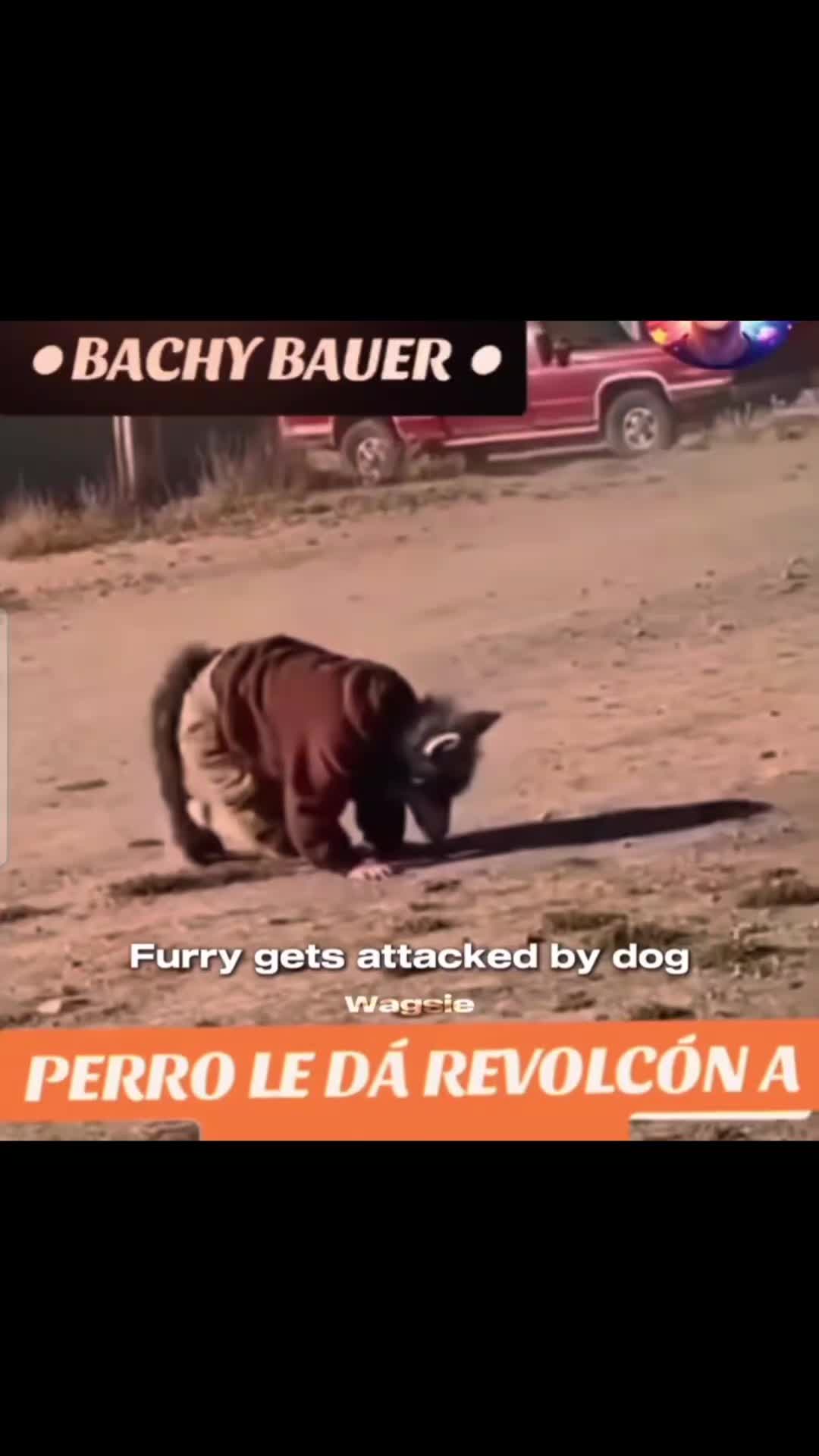 @Axel_On_Vmp🦭