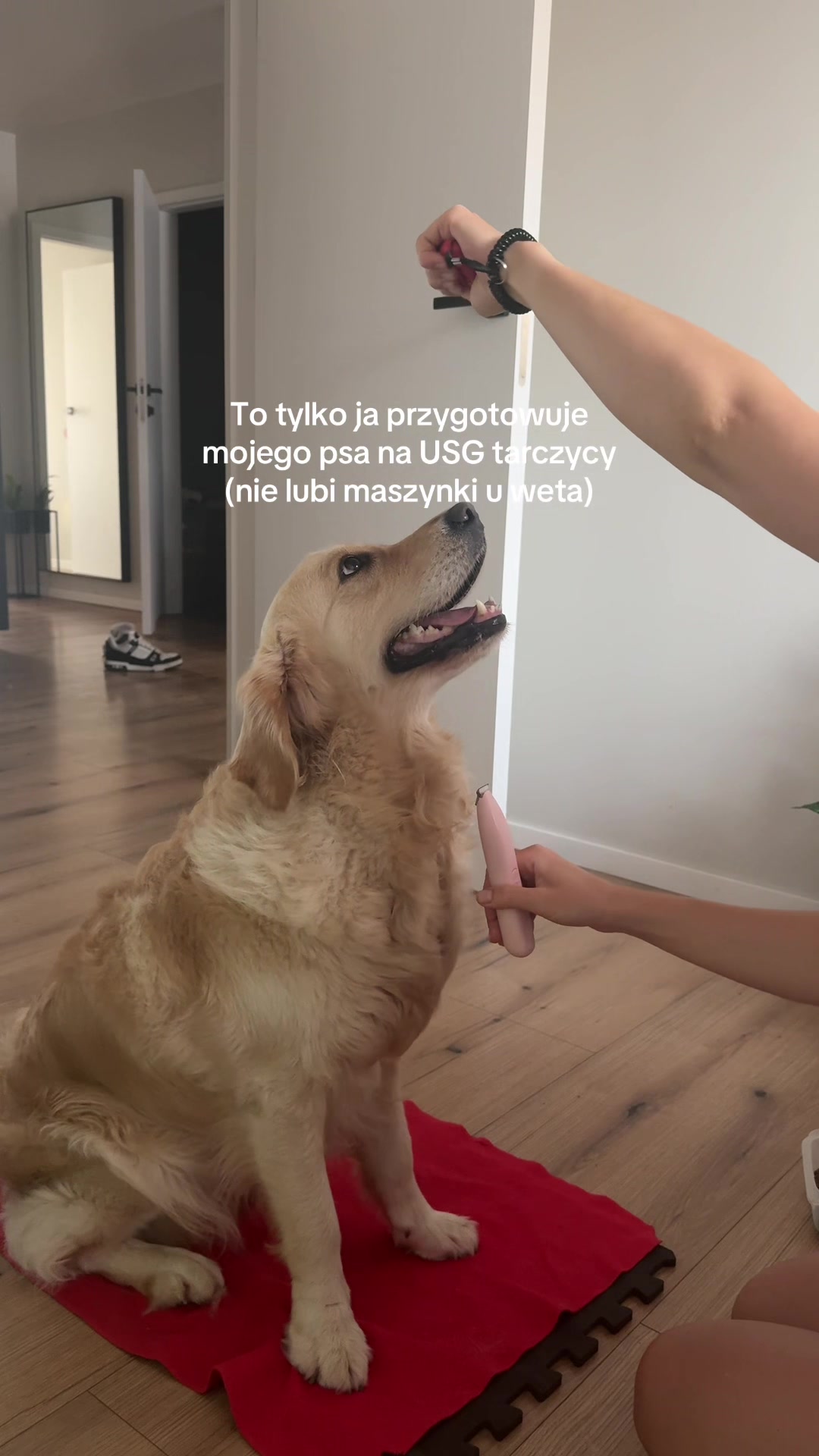 @Klaudia Łudzik