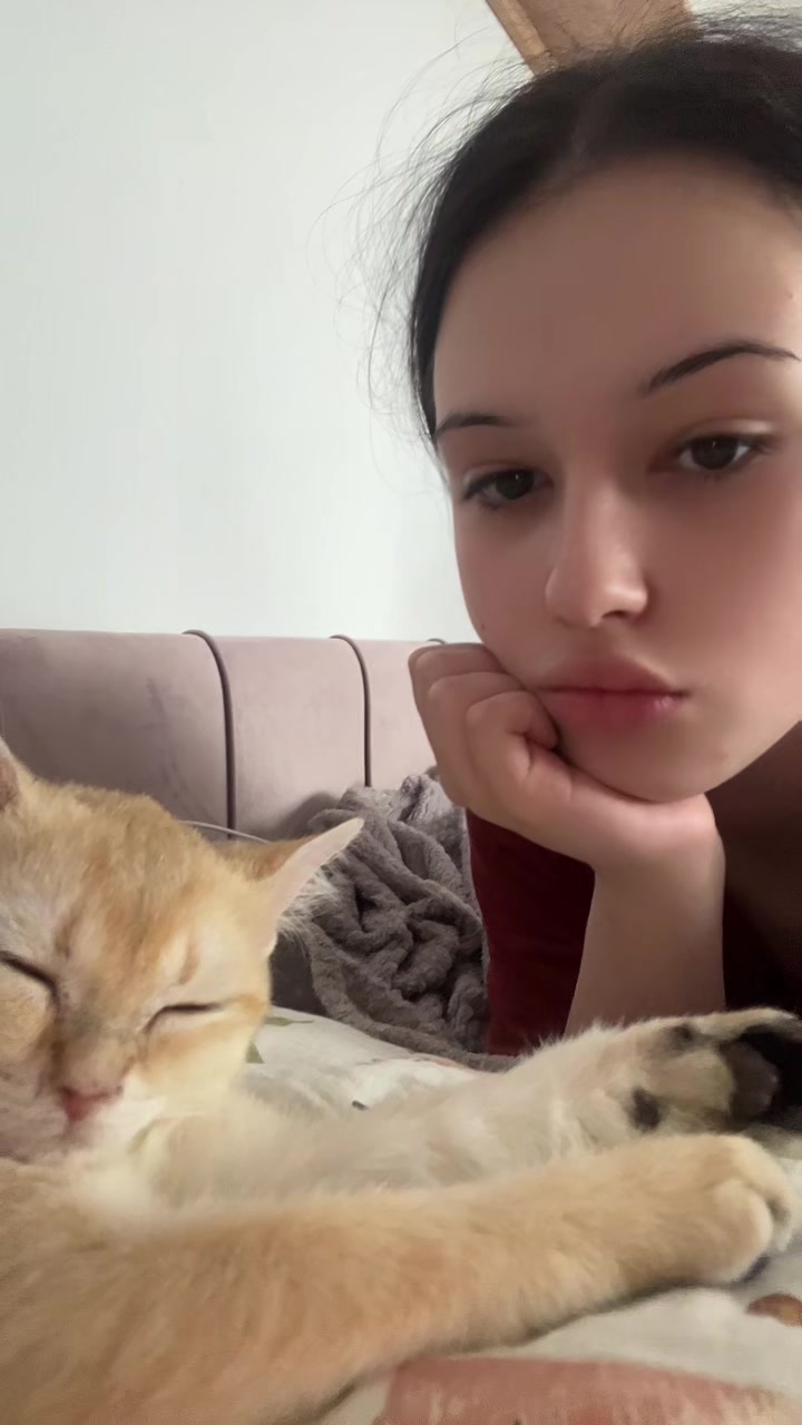 @тгк:крутая кошка