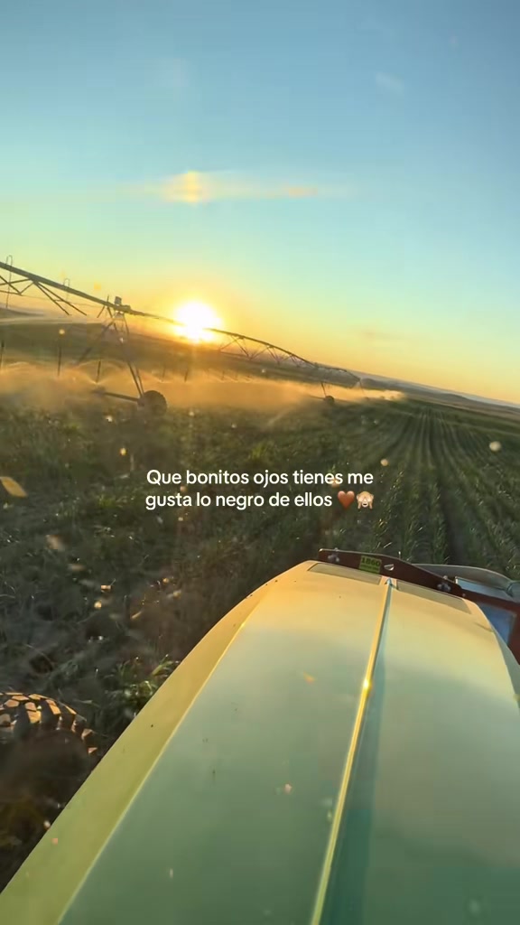 @MART&Iacute;N 🍃