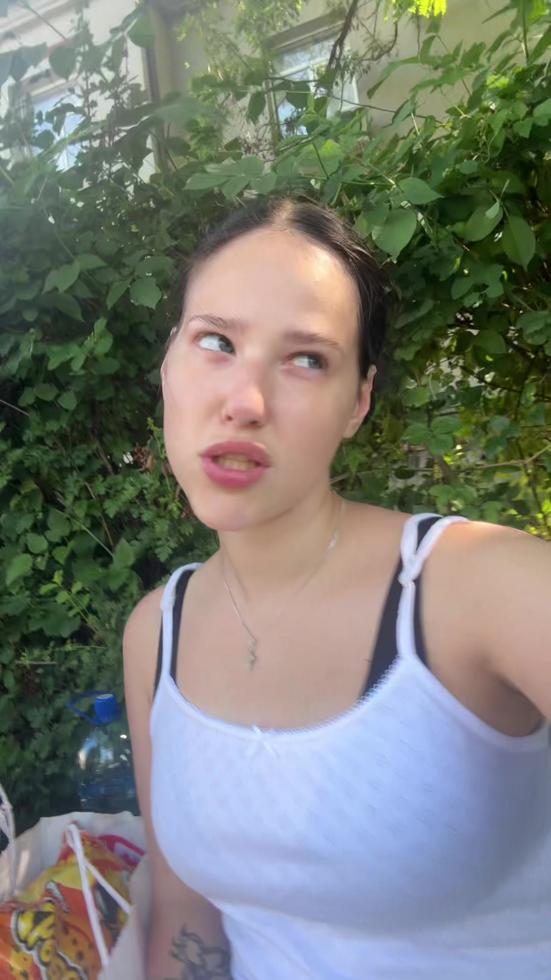 @vanilkan
