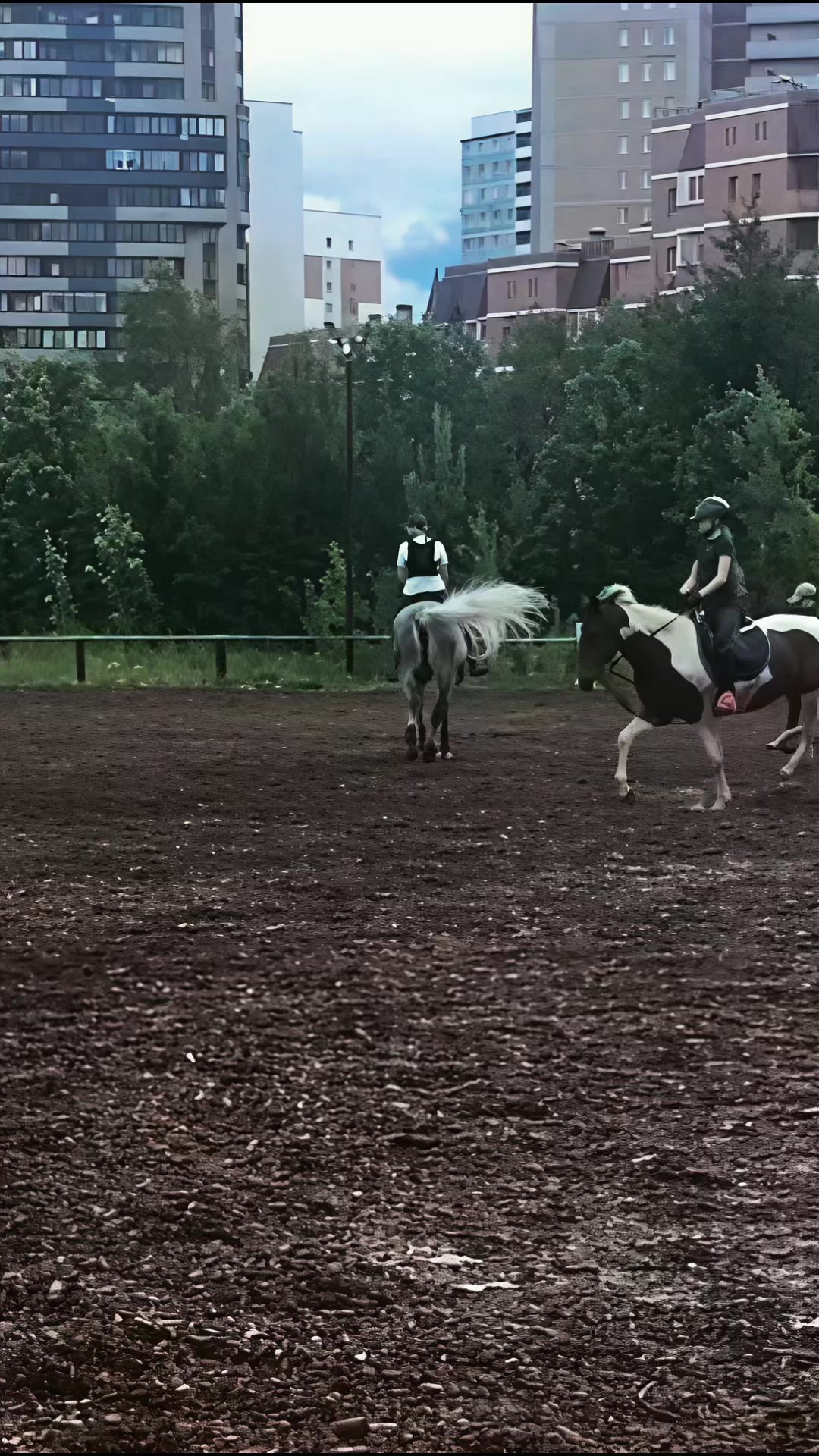 @Ли🐴