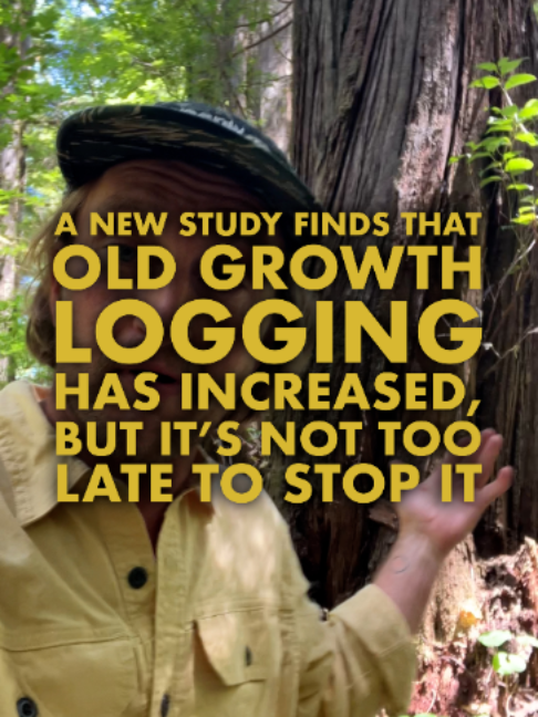@Nerdy About Nature (Ross Reid)