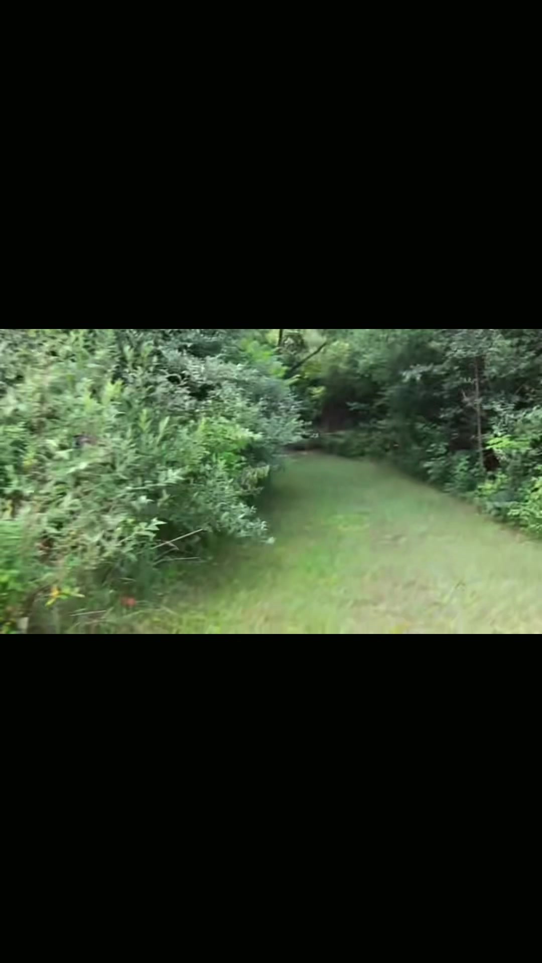 @📷