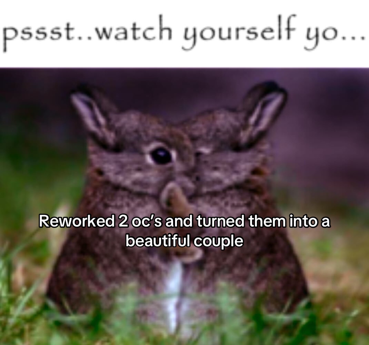 @Frank - Owl