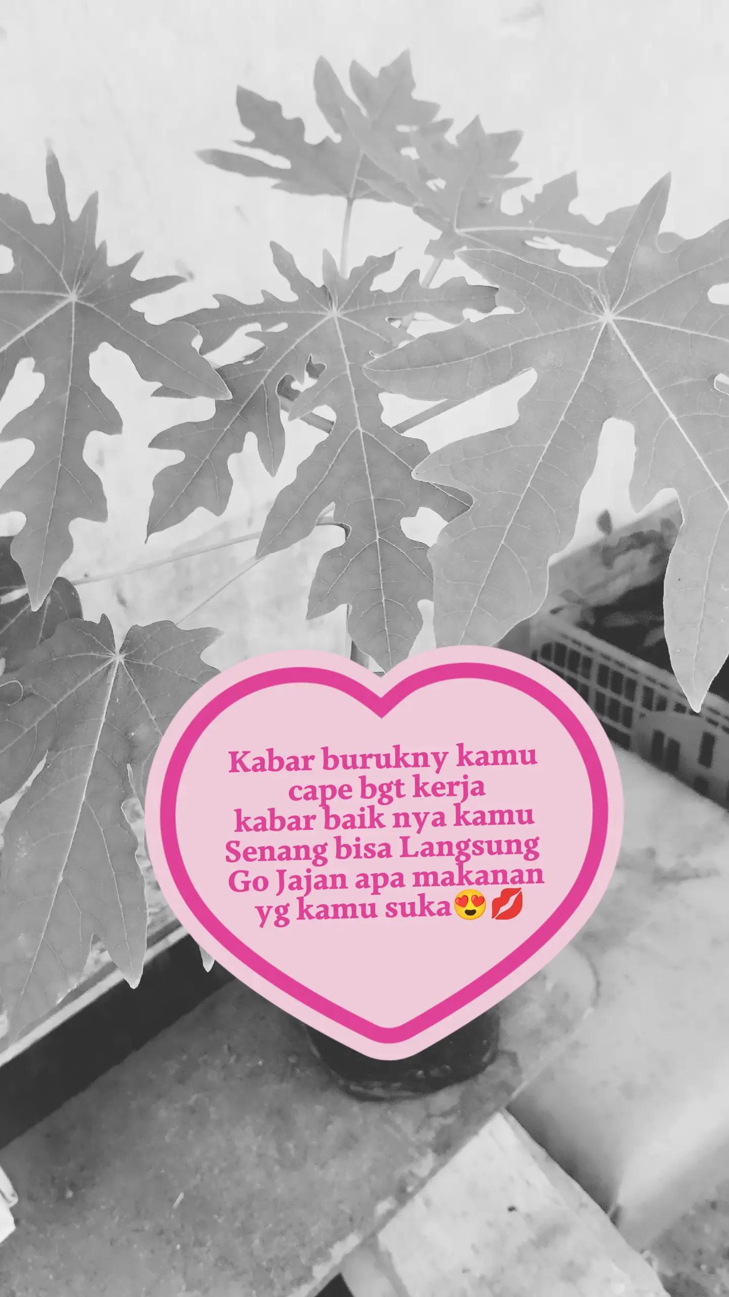 @Gusti