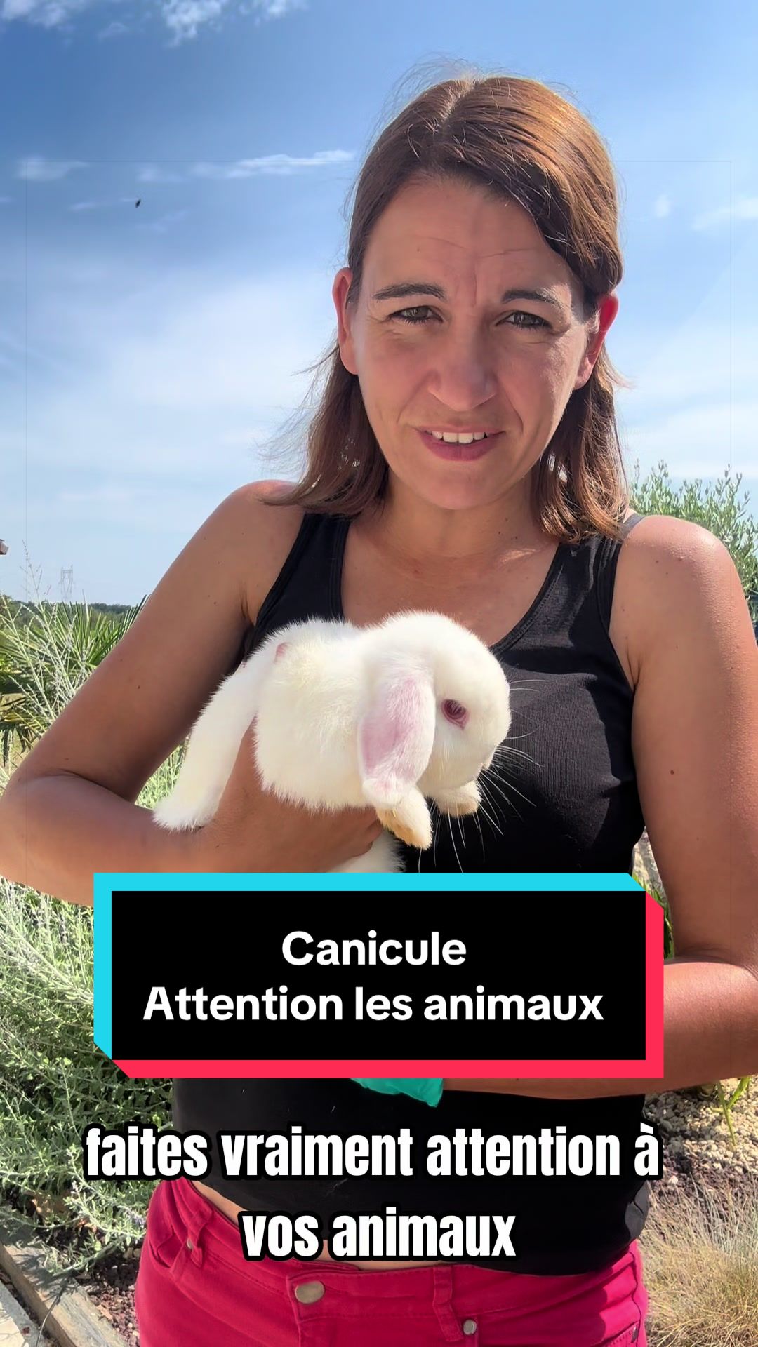 @La main verte de Marion