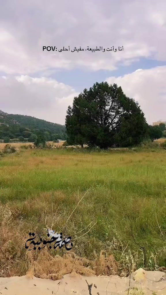 @Fyorella