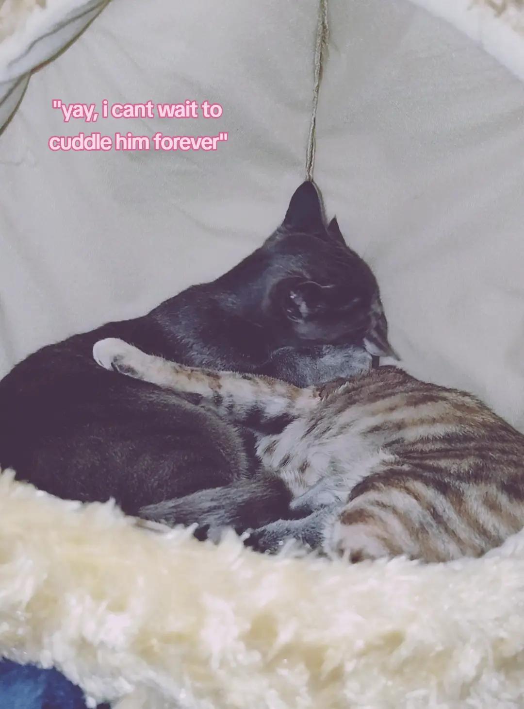 @️