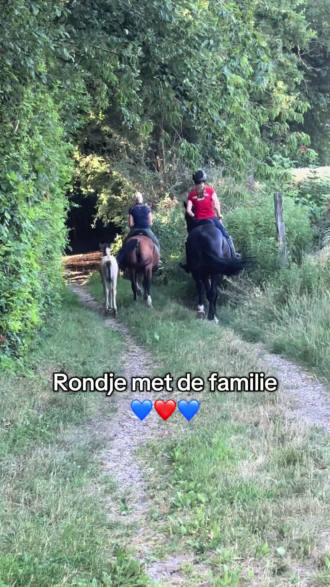 @Syrche Cordewener