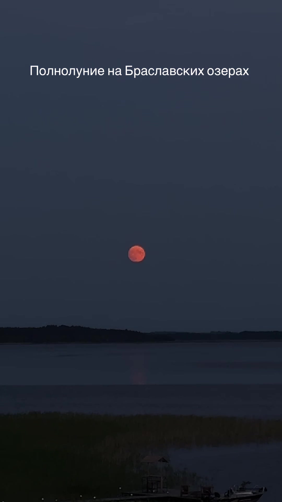 @Мілана Кахана
