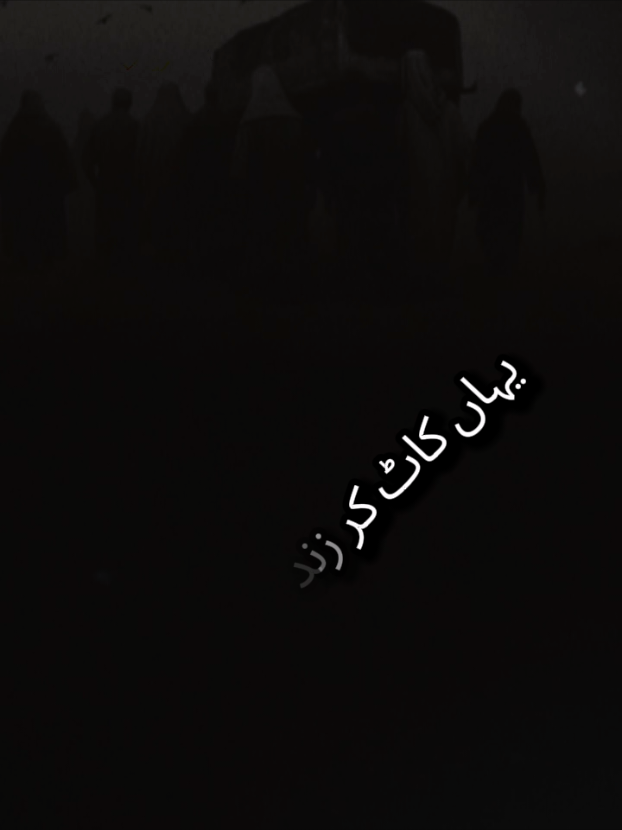 @Sawaira Naaz
