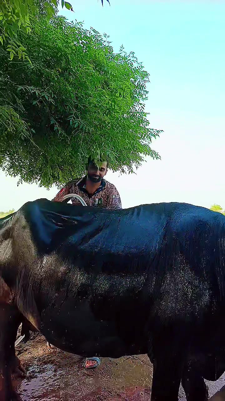 @Ali Akbar