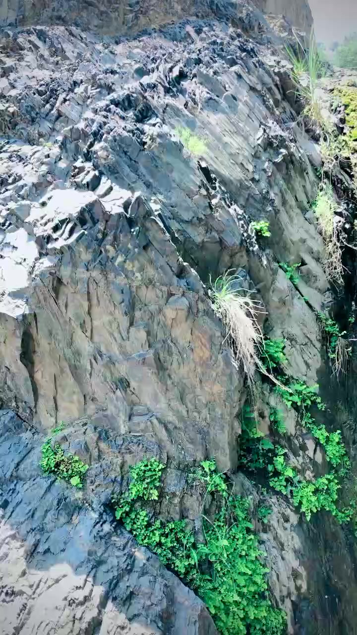 @abubkerkhan313