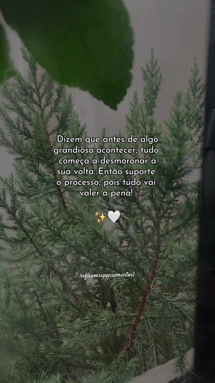 @reflexoesepensamentos1