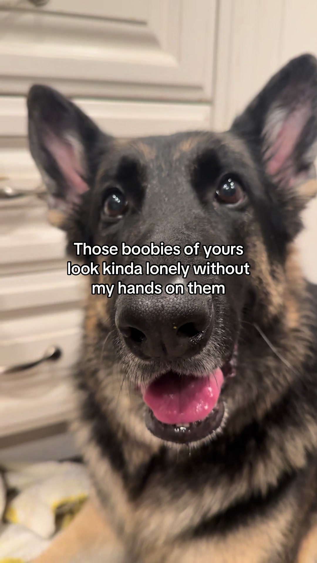 @Bhris