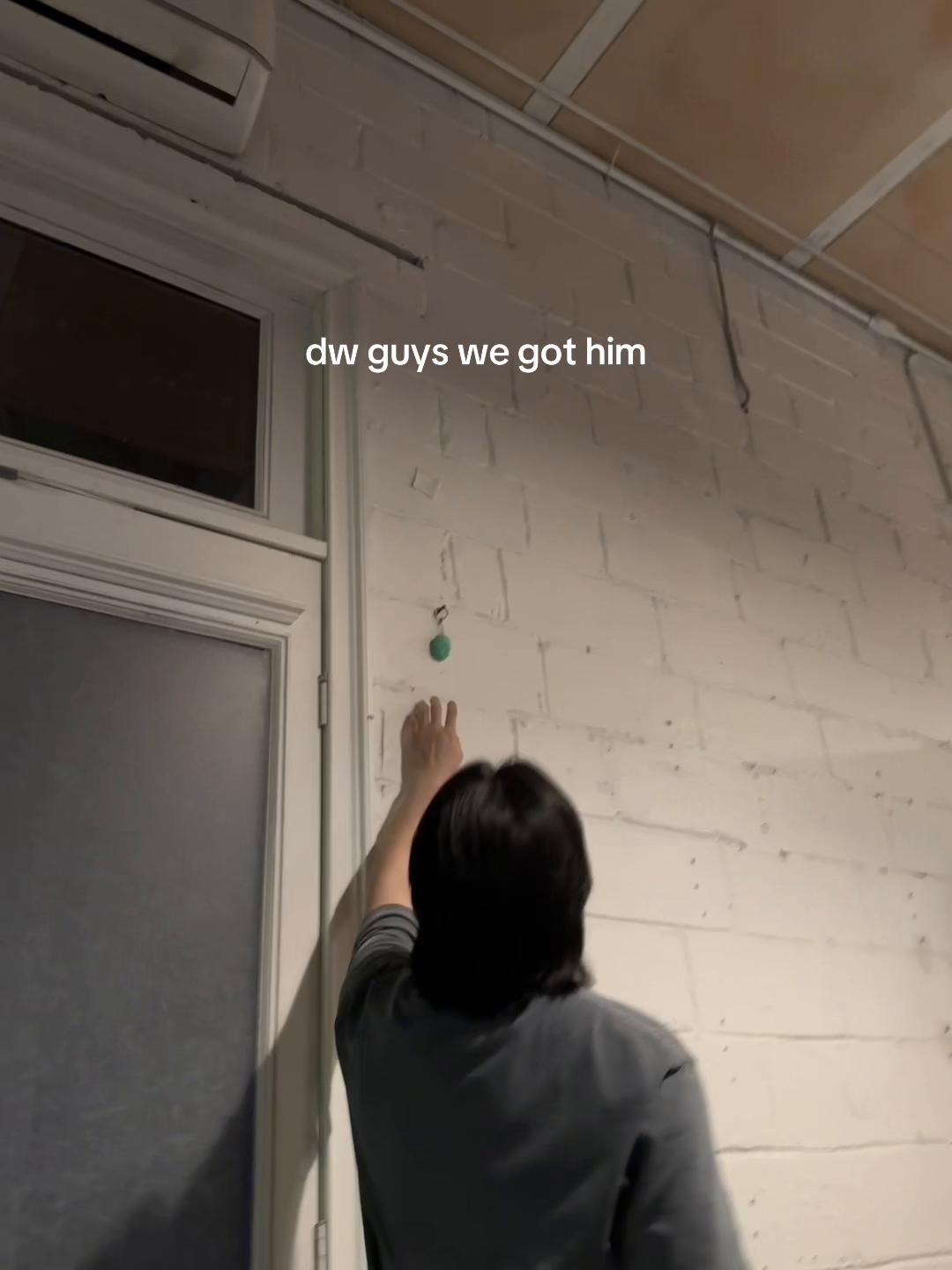 @mina✿