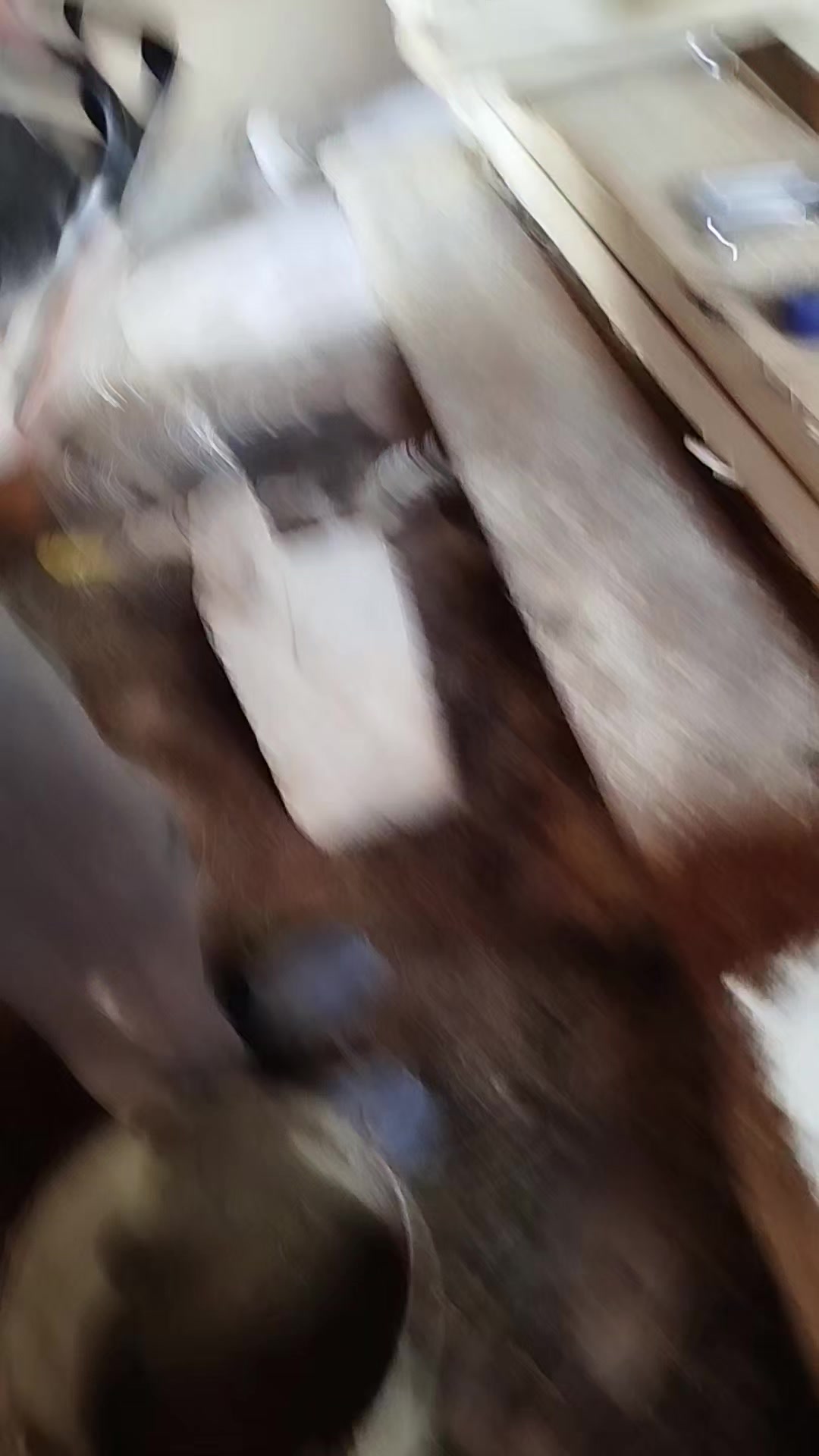 @user84082137233534