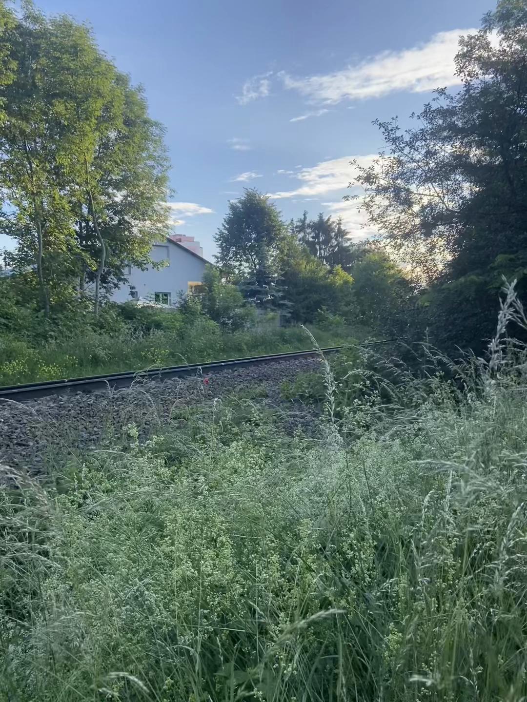 @Train UA Ternopil