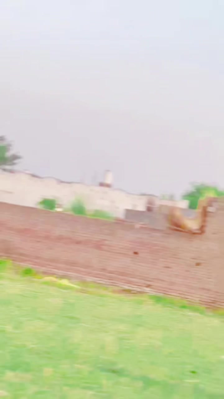 @چوہدری عالیان میکن 🫶🫀