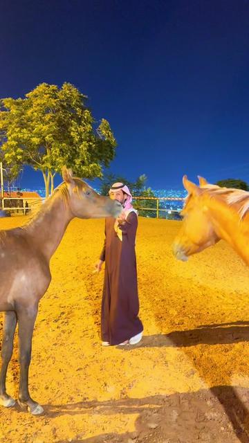 @محمد الدعجة