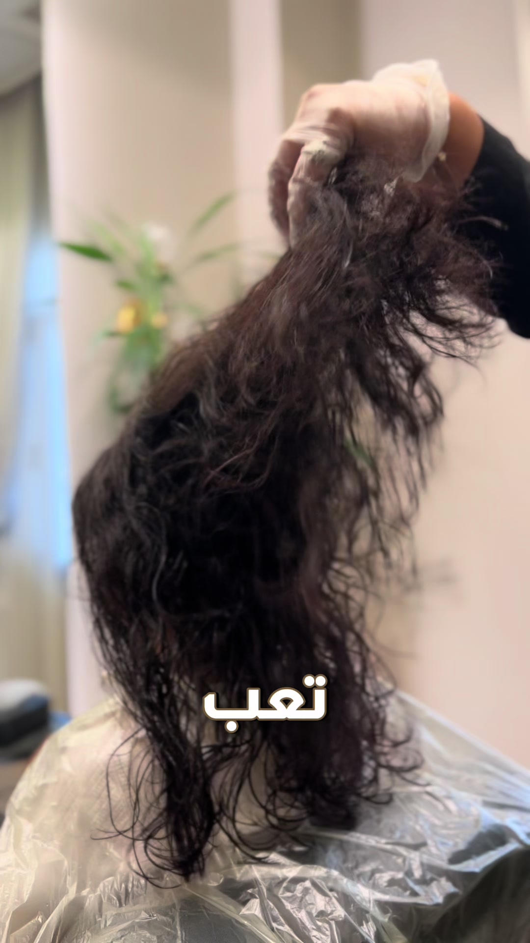 @سيلكي _ Silky