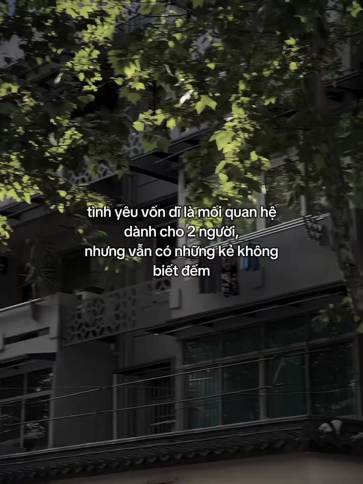 @gia bao.