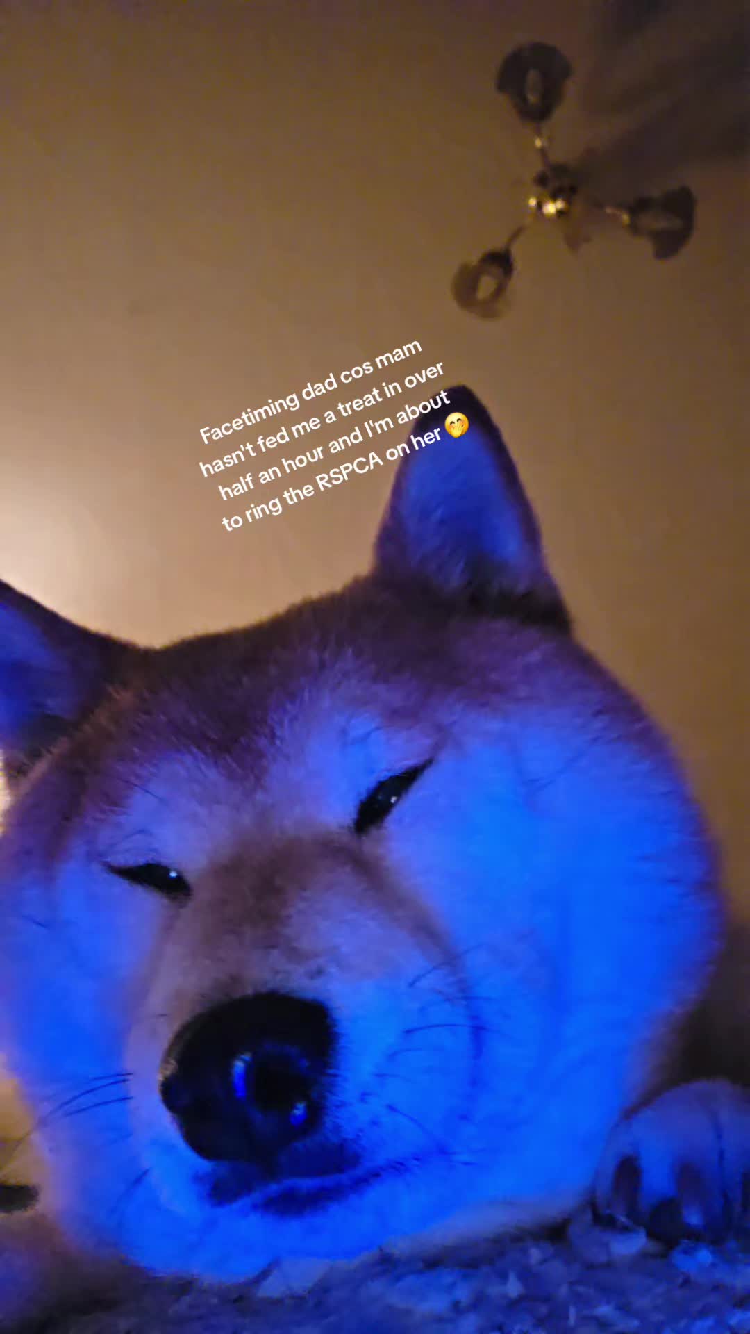 @Jezzajugs
