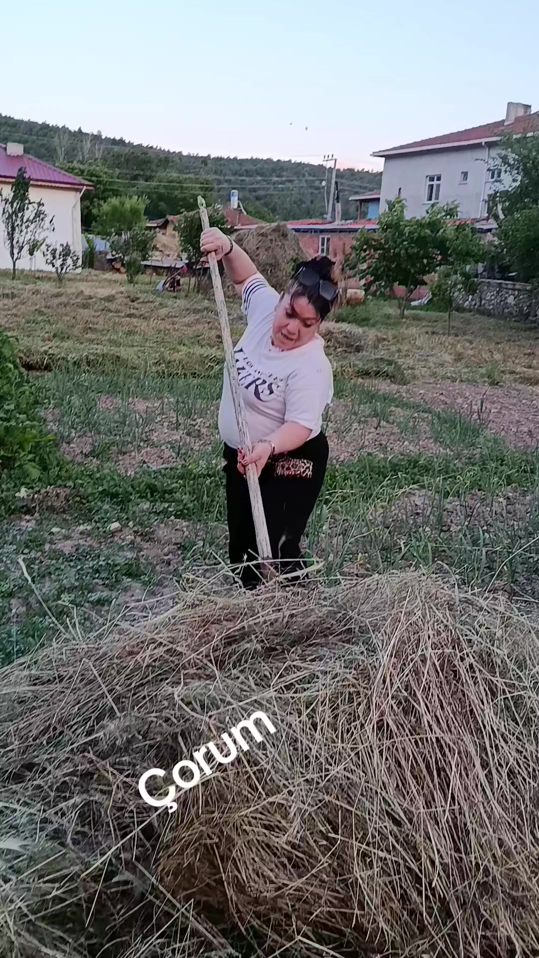 @Kar Tanesi