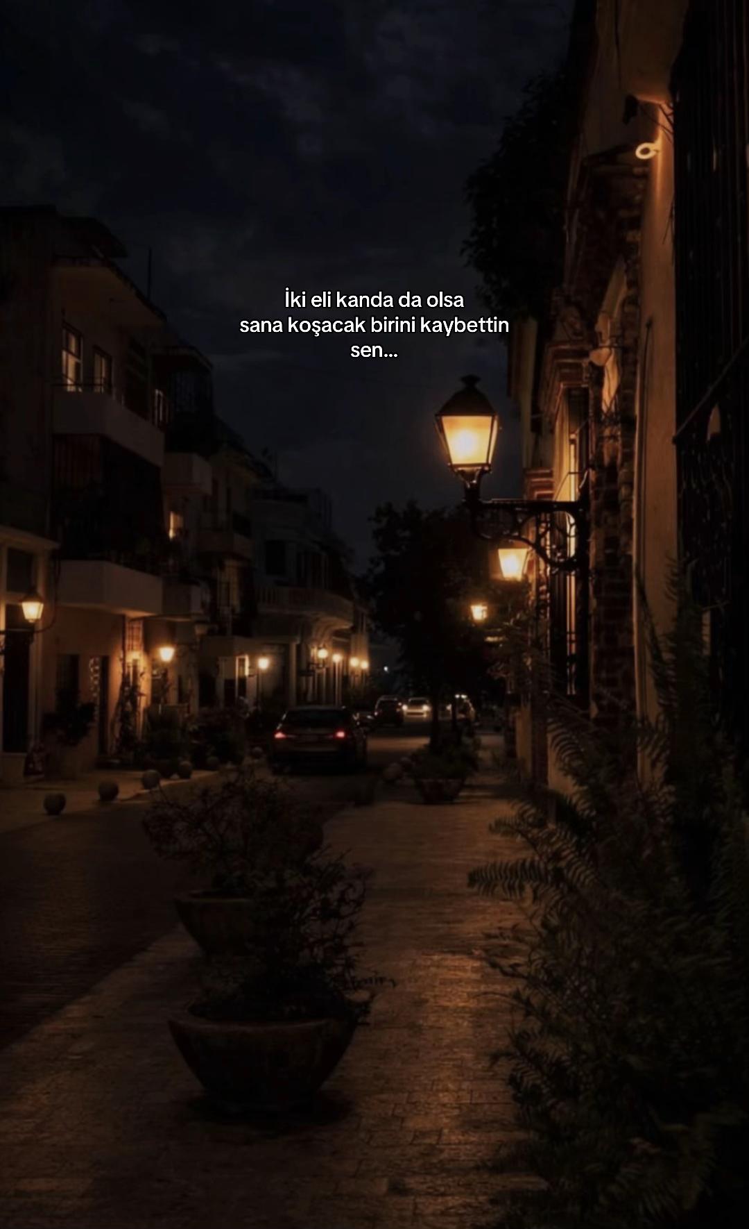@seviyorgibiydin24