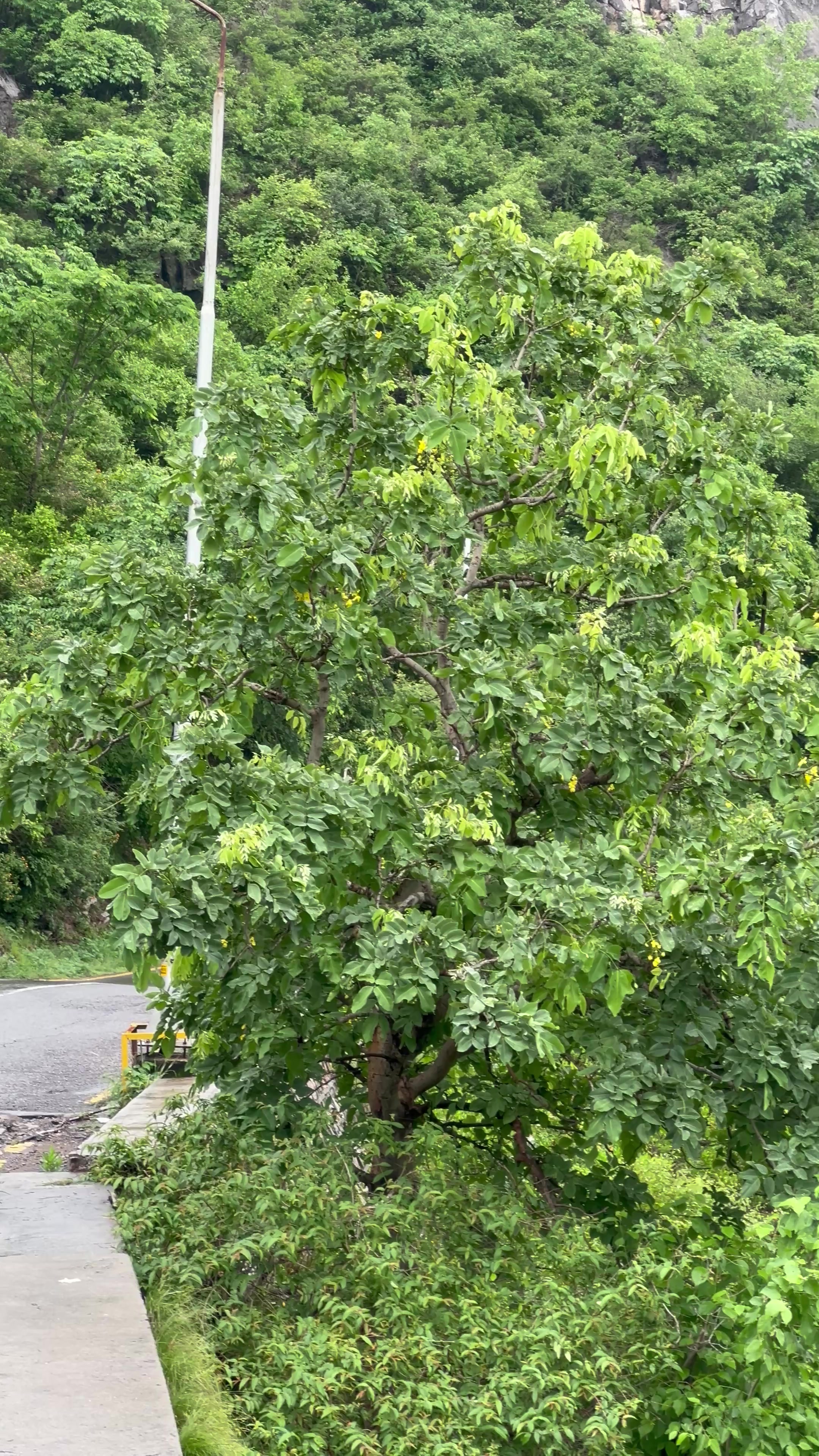 @𝐋𝐨𝐯𝐞-𝐋𝐢𝐟𝐞-OF-𝐈𝐒𝐁🍃