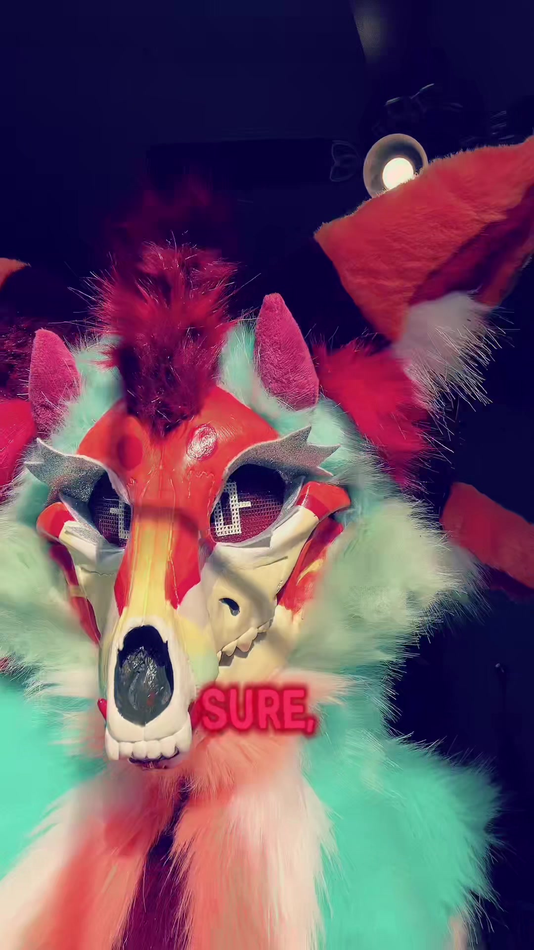 @aethertheskulldog🔜LSFC