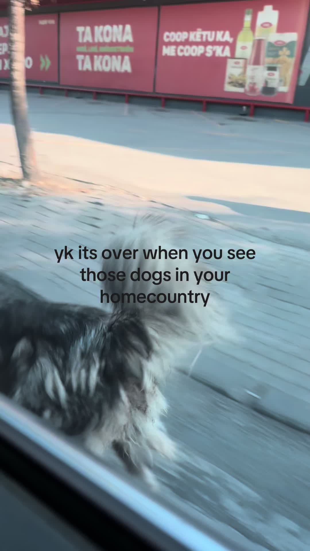 @secretspam4761