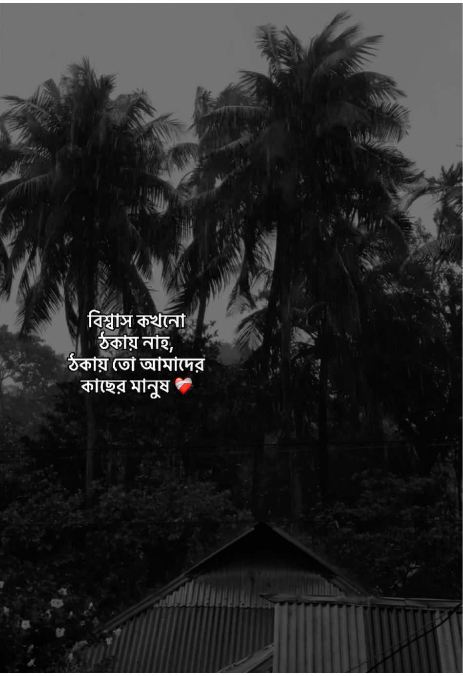 @_নিখোঁজ_