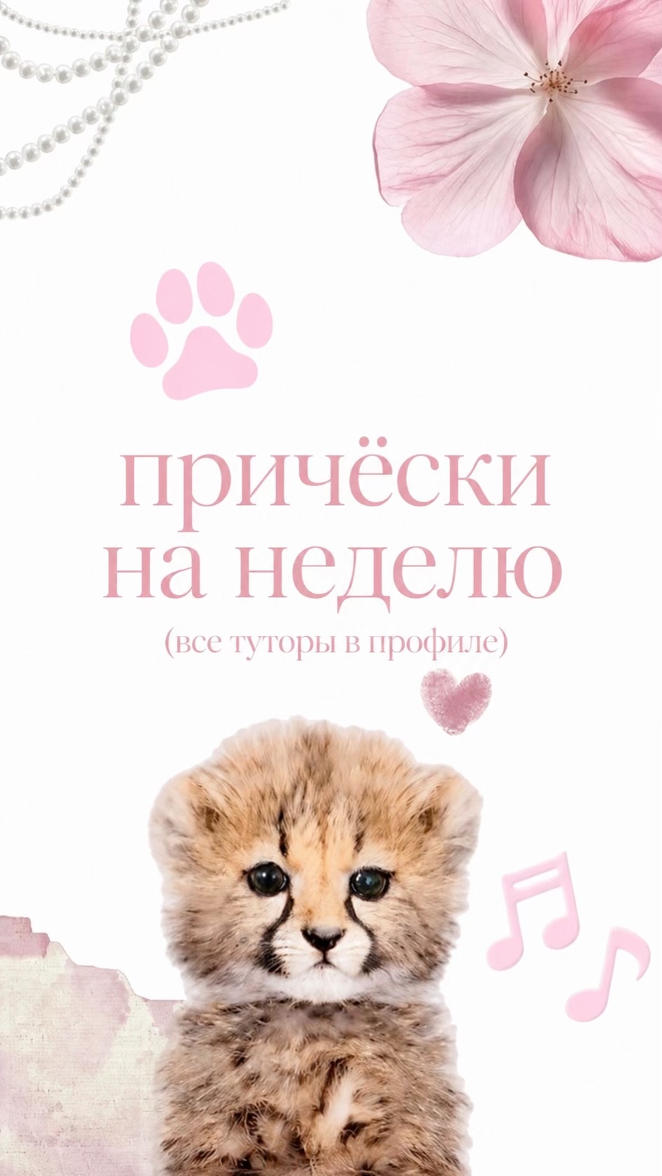 @ТГК: РУФА ТУТА🌸