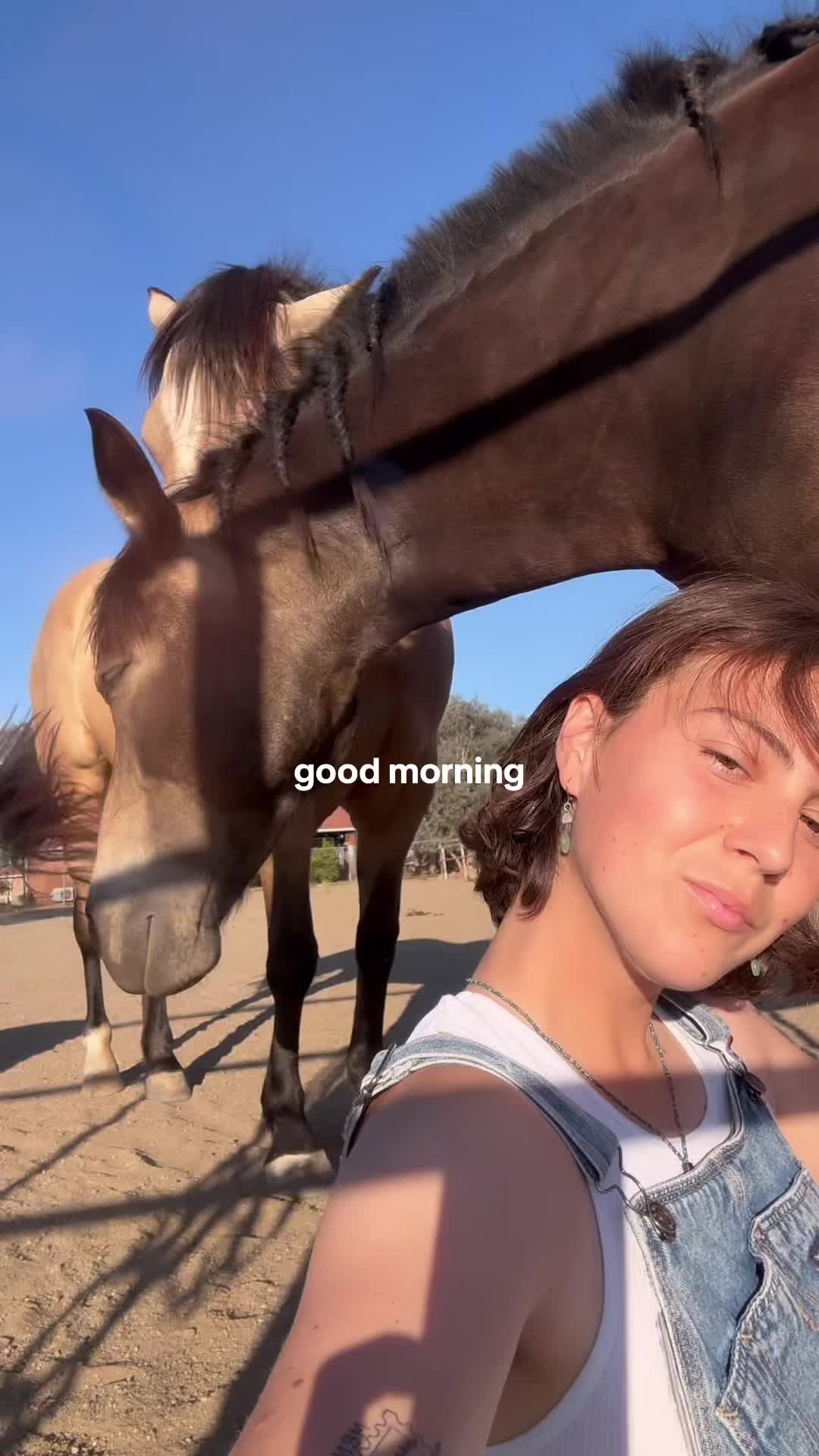@Maya