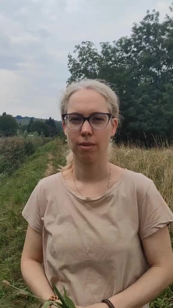 @fitoadri
