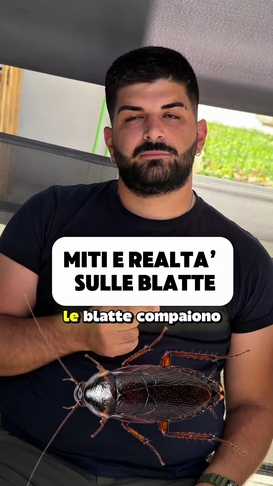 @FP Disinfestazioni