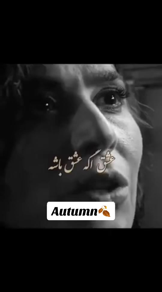 @autumn_1207